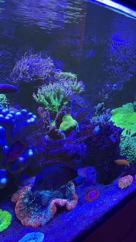 IMG_0420.jpeg