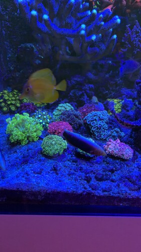 IMG_0422.jpeg