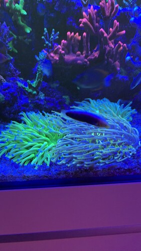 IMG_0423.jpeg