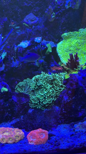 IMG_0424.jpeg