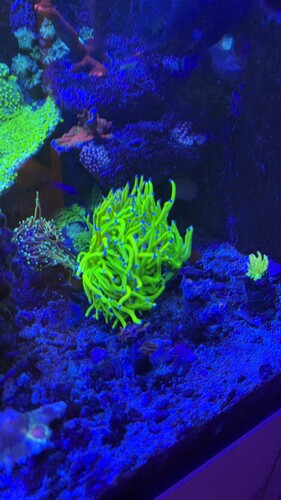 IMG_0425.jpeg