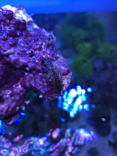 20260108_133346.jpg