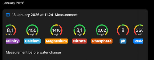 2 measurements