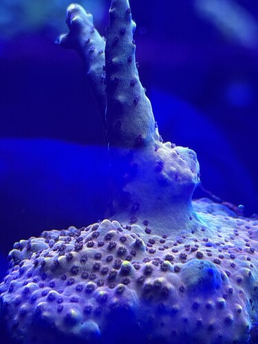 IMG_0514.jpeg