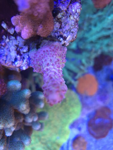 20260114_153712.jpg