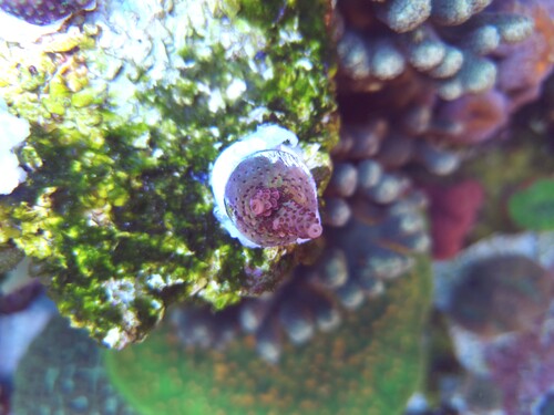 20250714_140740.jpg