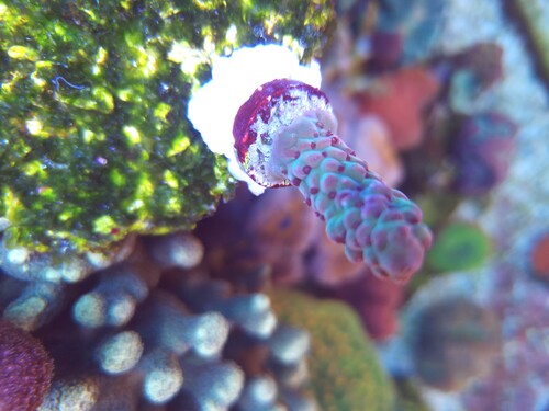 20250714_140753.jpg