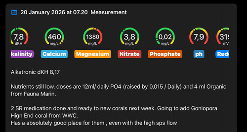 Weekly test