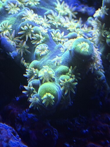IMG_0555.jpeg