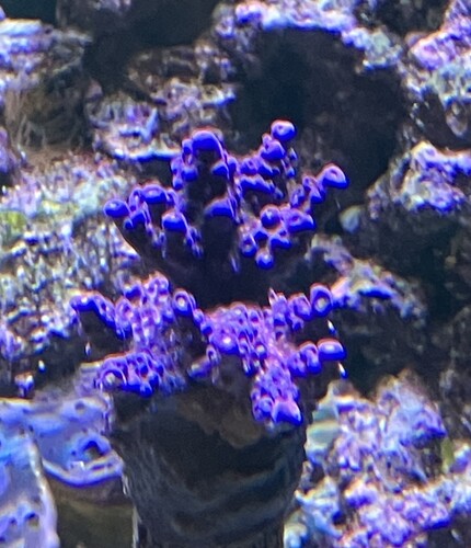IMG_3678.jpeg