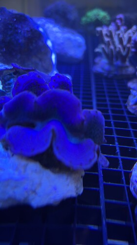 IMG_5741.jpeg