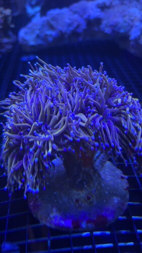 IMG_5731.jpeg