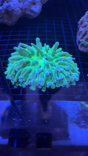 IMG_5724.jpeg