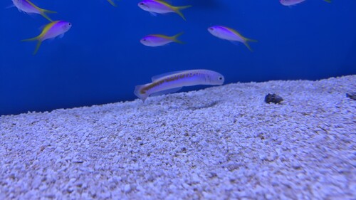 IMG_5756.jpeg