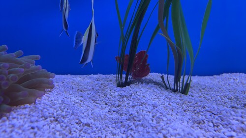 IMG_5753.jpeg
