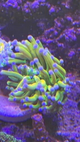 IMG_0520.jpeg