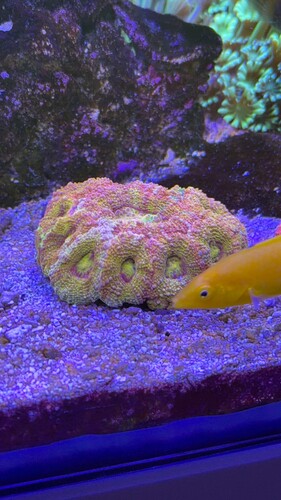 IMG_0518.jpeg