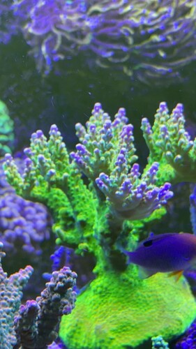 IMG_0513.jpeg