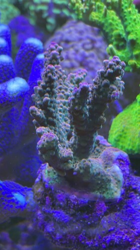 IMG_0511.jpeg
