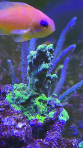 IMG_0510.jpeg
