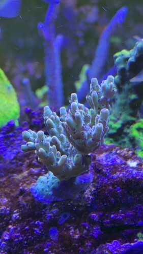 IMG_0509.jpeg