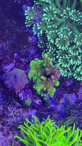 IMG_0548.jpeg