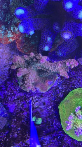 IMG_0542.jpeg