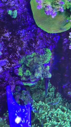 IMG_0541.jpeg