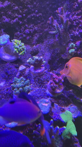 IMG_0551.jpeg