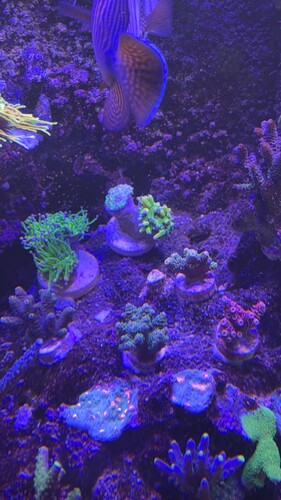 IMG_0552.jpeg