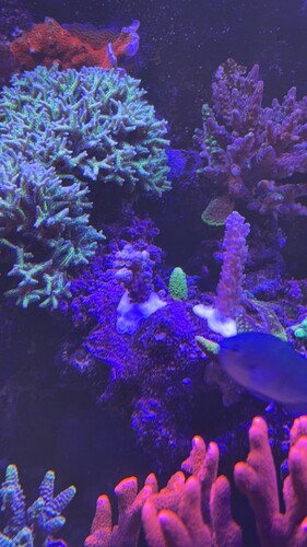IMG_0553.jpeg