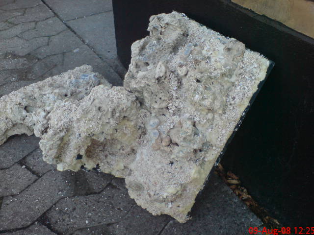 DSC00421.JPG