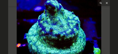 IMG_3592.jpeg