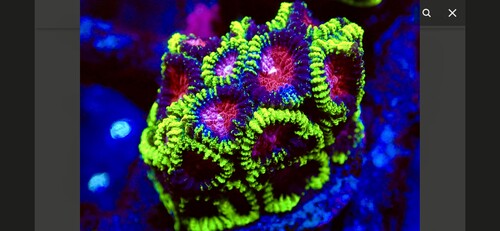 IMG_3601.jpeg