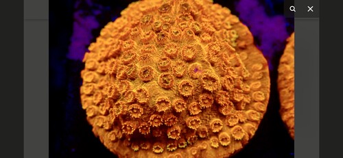IMG_3598.jpeg