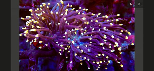 IMG_3605.jpeg