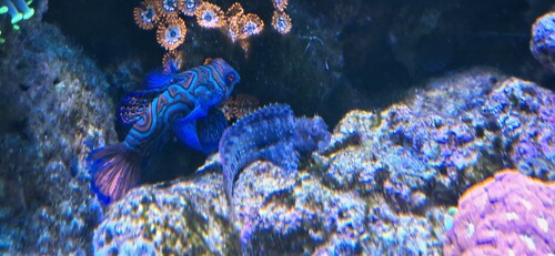 20260202_173401.jpg
