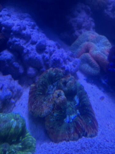 IMG_5440.jpeg