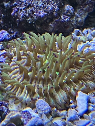 IMG_3719.jpeg
