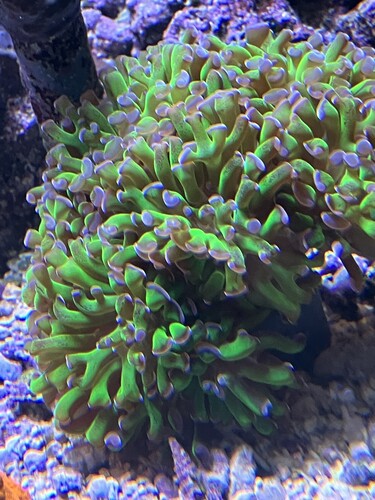 IMG_3714.jpeg