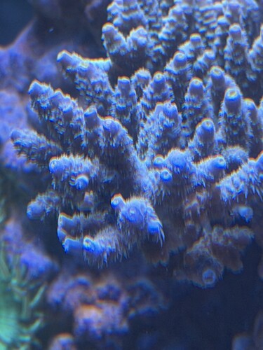 IMG_5582.jpeg