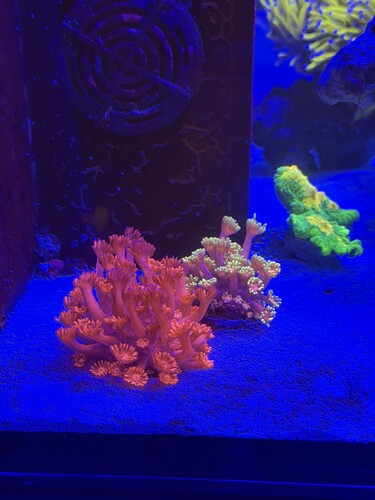 IMG_0688.jpeg