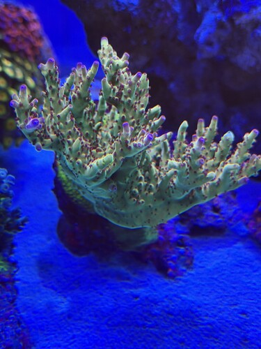 IMG_0692.jpeg