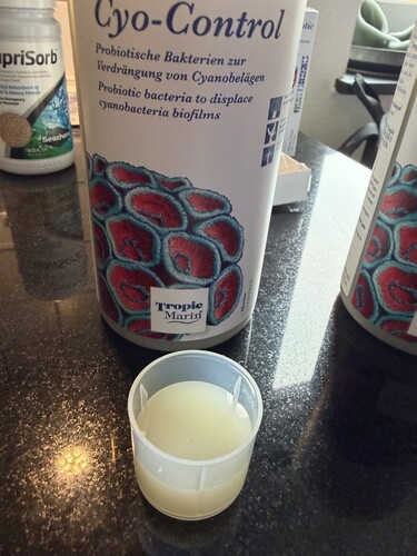 Cyno 1