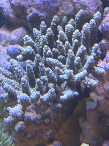 IMG_5618.jpeg
