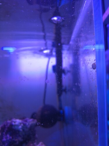 20260213_105047.jpg