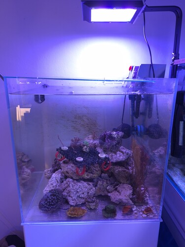 20260213_154540.jpg