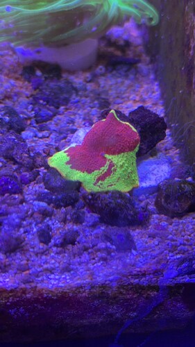 IMG_0876.jpeg