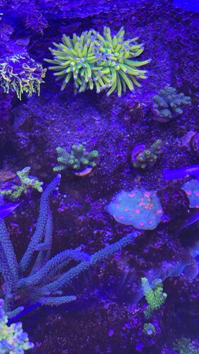 IMG_0872.jpeg