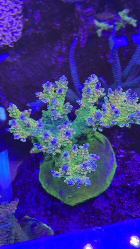 IMG_0871.jpeg